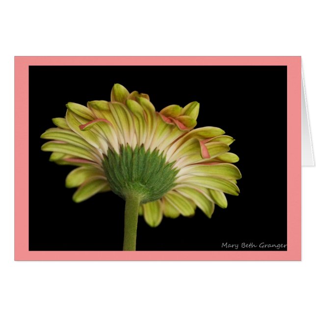 Beauty Inside and Out (Front Horizontal)