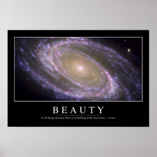 Beauty: Inspirational Quote 2 Poster