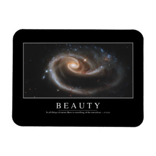 Beauty: Inspirational Quote 3 Magnet