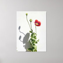 Beauty is also the Beast.