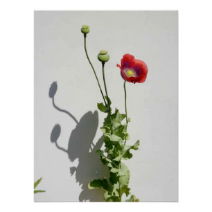 Beauty is also the Beast. Poster