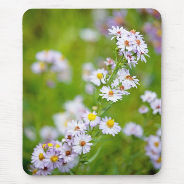 Beauty Line Mousepad (Front)