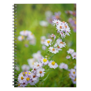 Beauty Line Notebook