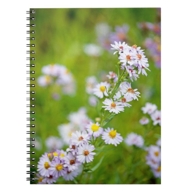 Beauty Line Notebook (Front)