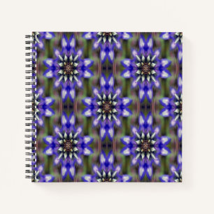 Beauty.... Notebook