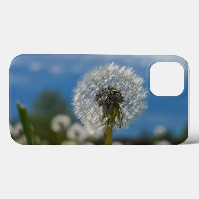 Beauty Of A Dandelion Case-Mate iPhone Case (Back (Horizontal))