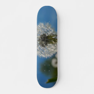Beauty Of A Dandelion Skateboard