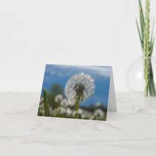 Beauty Of A Dandelion Thank You Card