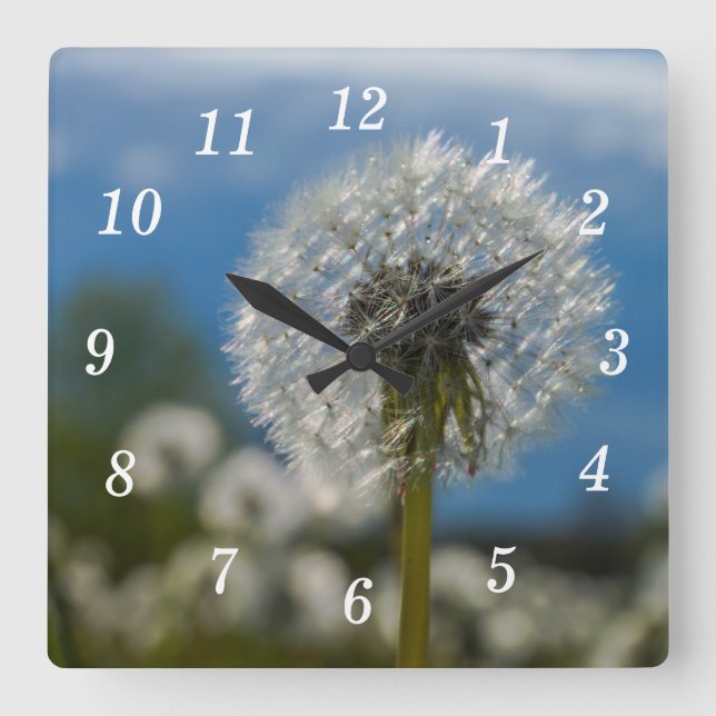 Beauty Of A Dandelion Wall Clock (Front)