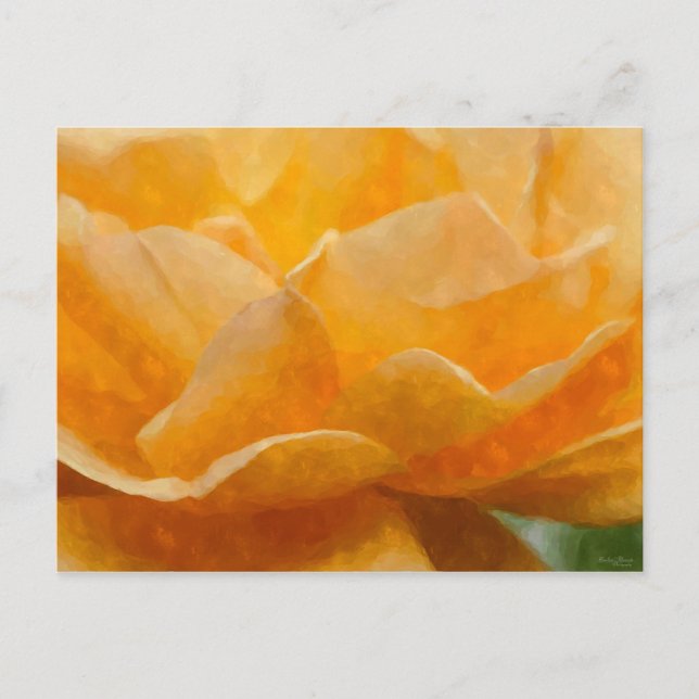 Beauty Of A Rose Painterly Postcard (Front)