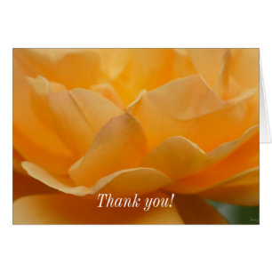 Beauty Of A Rose Thank You Card
