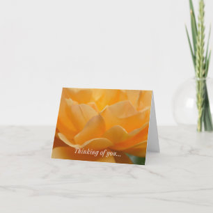 Beauty Of A Rose Thinking Of You Card