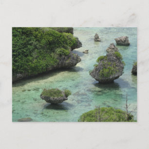 Beauty of Guam Postcard