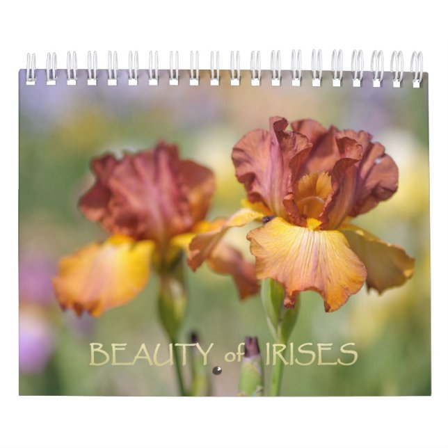 Beauty of Irises Calendar (Cover)