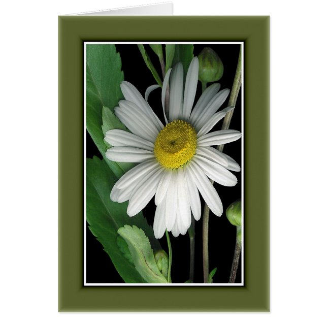 Beauty of Nature r/c17 (Front)