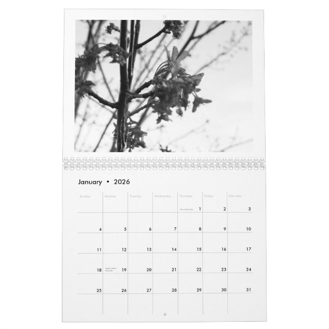 Beauty of Nature... the black & white edition Calendar (Jan 2026)