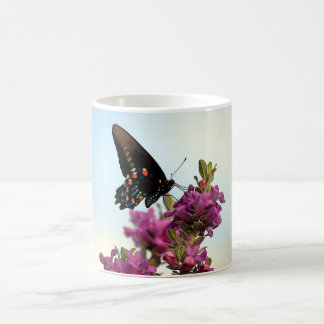 Beauty of the Butterfly Mug