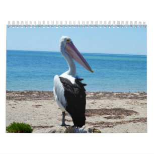 Beauty Of The Pelicans Australian 2019, Calendar