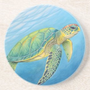 Beauty of the turtle coaster