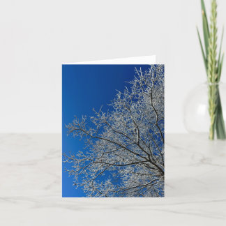 Beauty of Winter Greeting Card