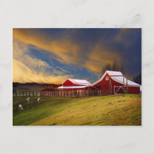 Beauty on the Farm Postcard