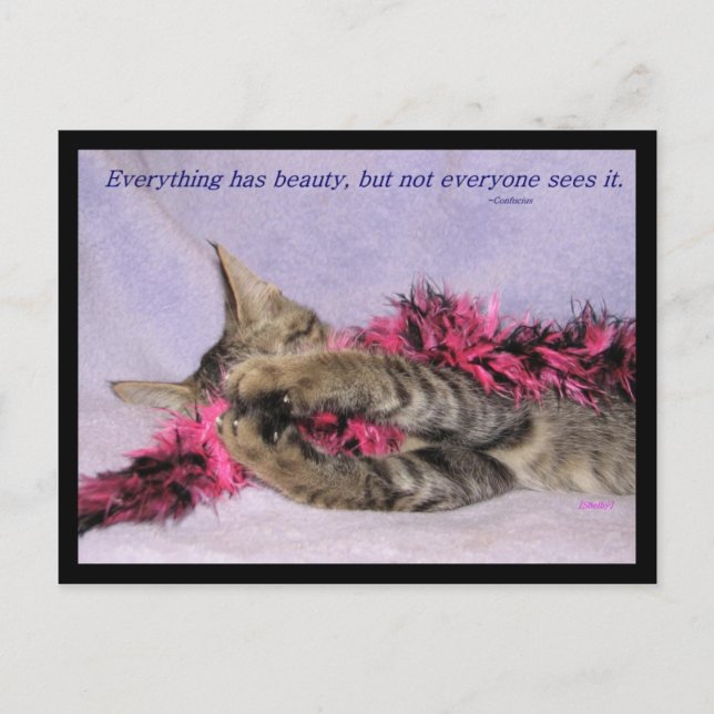 Beauty Postcard (Front)