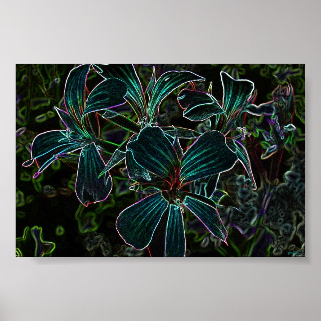 beauty poster (Front)