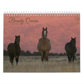 "Beauty Queens" MustangWild 2026 Calendar 