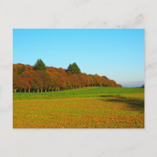 Beauty strange golden trees postcard