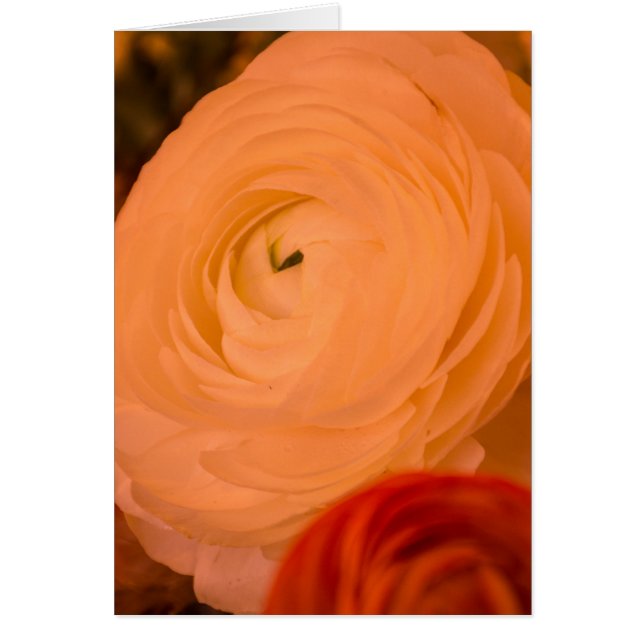 BEAUTY SURROUNDS GREETING CARD TEMPLATE (Front)