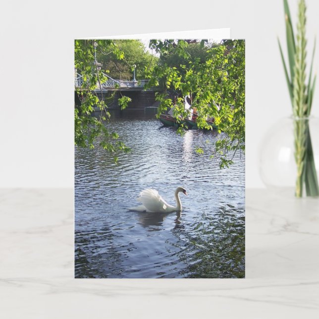 Beauty under the boughs card (Front)