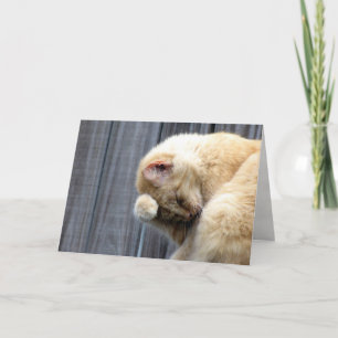 Beauty's Greeting Card