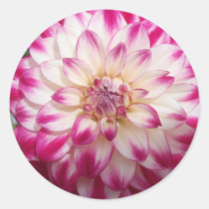 Beaux Classic Round Sticker