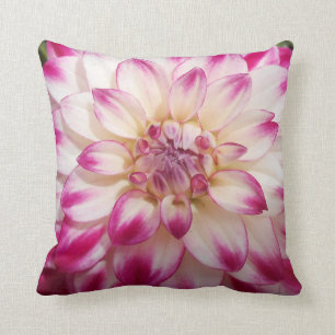 Beaux Cushion