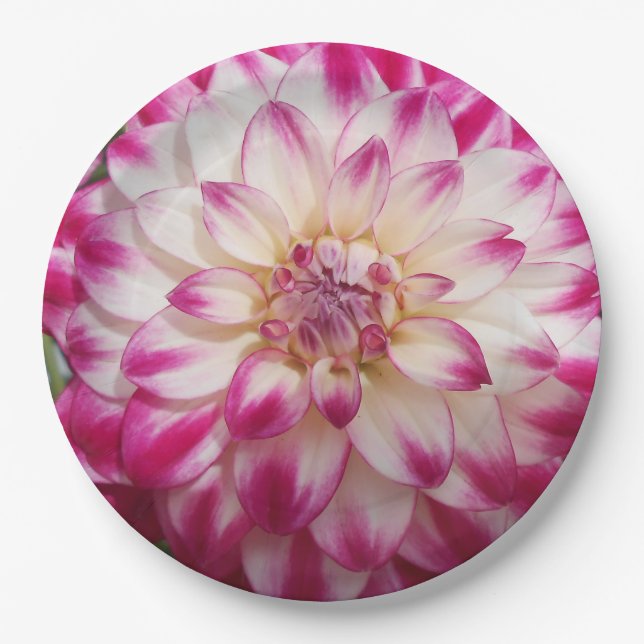 Beaux Paper Plate (Front)