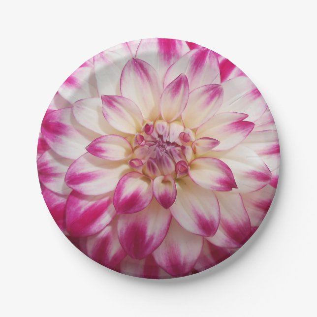 Beaux Paper Plate (Front)