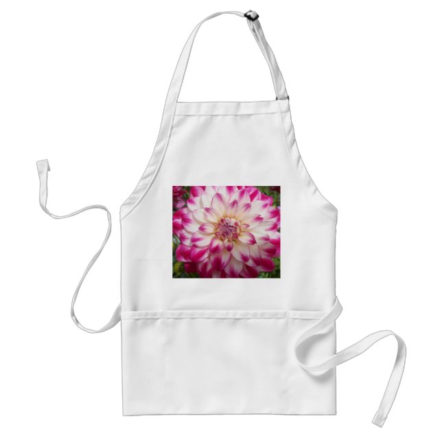 Beaux Standard Apron (Front)