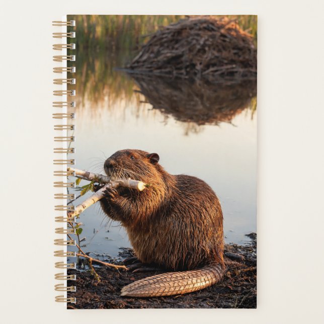 Beaver 2027 Planner (Front)