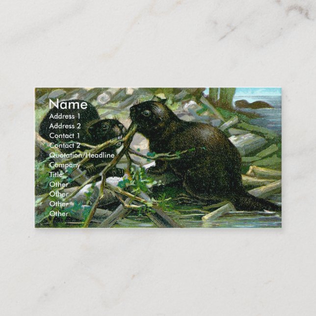 Beaver Business Card (Front)