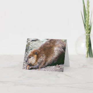 Beaver Card