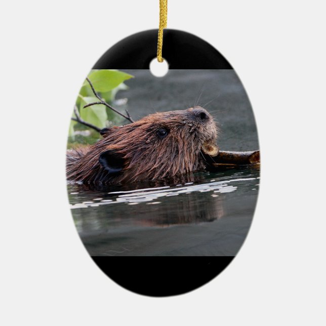 beaver ceramic ornament (Front)