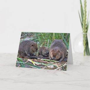 Beaver Family Card