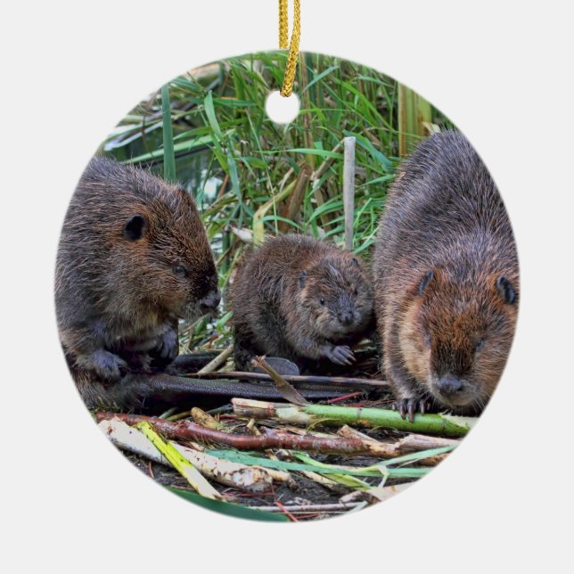 Beaver Family Ceramic Tree Decoration (Front)