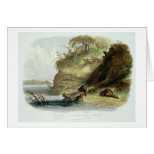 Beaver Hut on the Missouri, plate 17 from volume 1