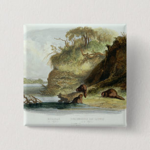 Beaver Hut on the Missouri, plate 17 from volume 1 15 Cm Square Badge