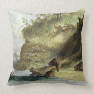 Beaver Hut on the Missouri, plate 17 from volume 1 Cushion