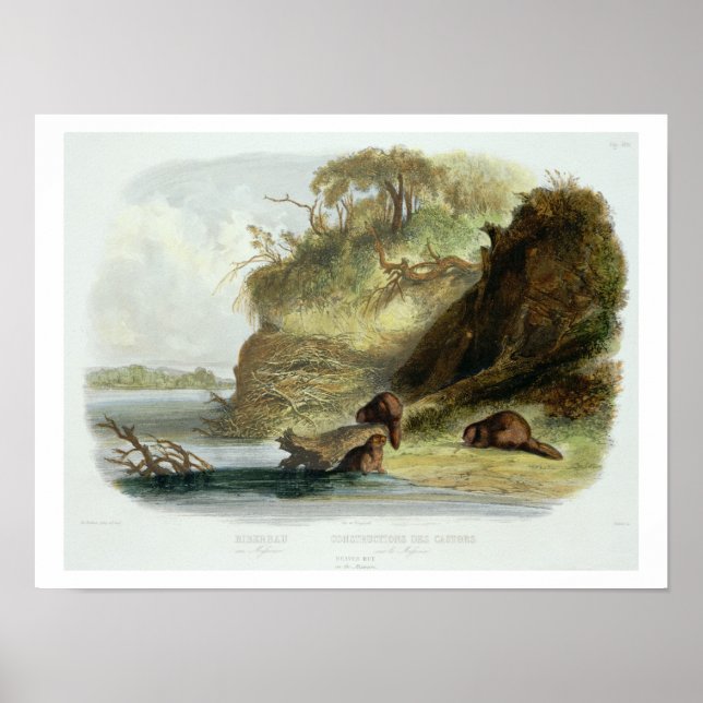 Beaver Hut on the Missouri, plate 17 from volume 1 Poster (Front)