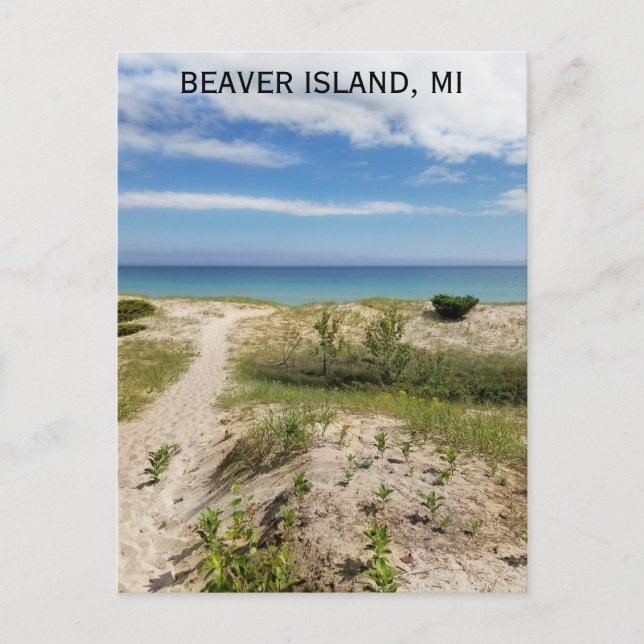 Beaver Island Michigan Beach Travel Postcard (Front)