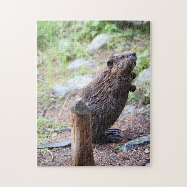 Beaver Jigsaw Puzzle (Vertical)