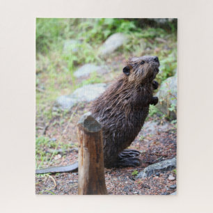 Beaver Jigsaw Puzzle